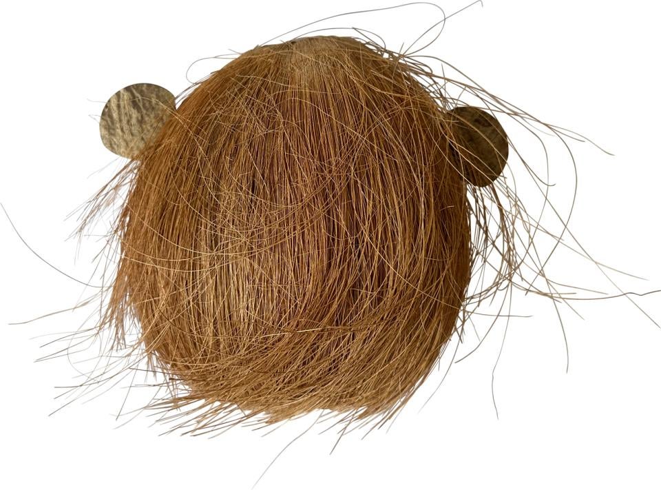 Coco monkey skjulested