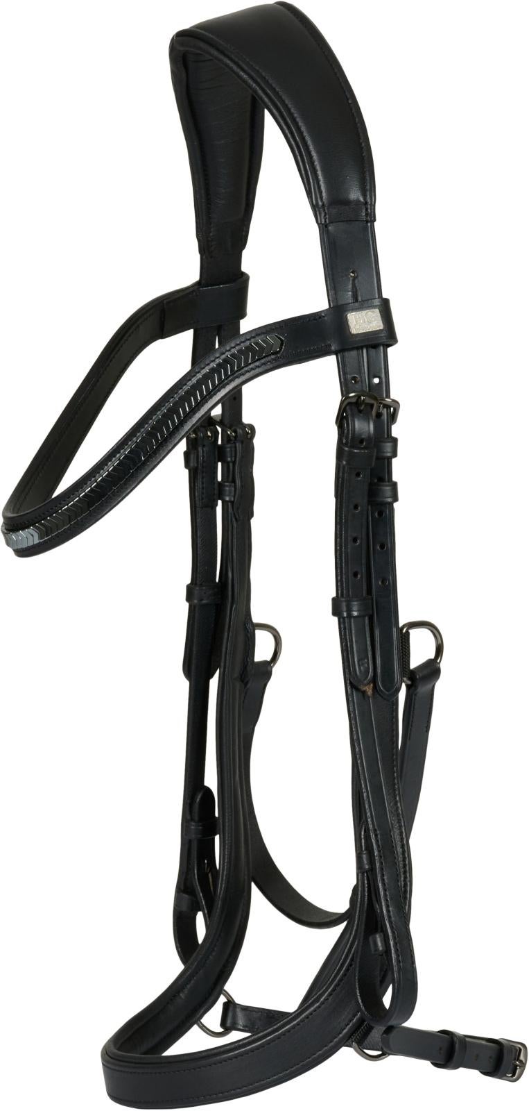 Tine anatomic trense