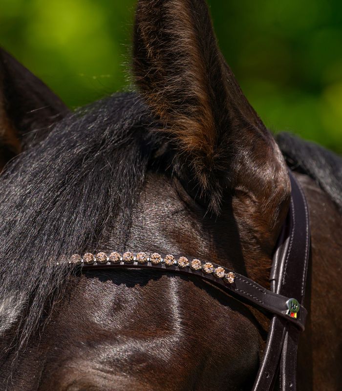 Pandebånd brun X-line glam