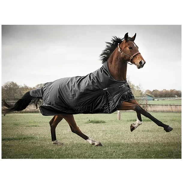 Justin 300 gram str. 145