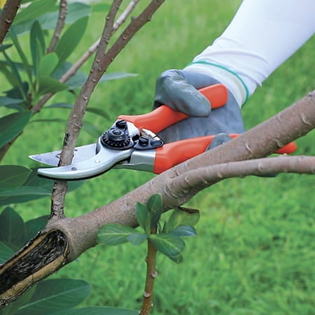 Beskæresaks Classic 217 mm