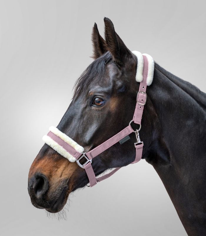 First grime m. imi pels