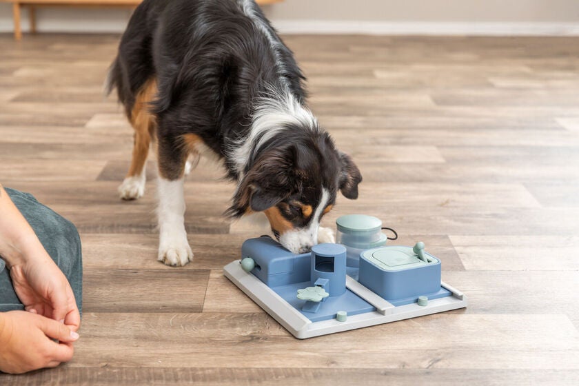 Dog Activity Poker Box 2 31 x 10 x 31 cm