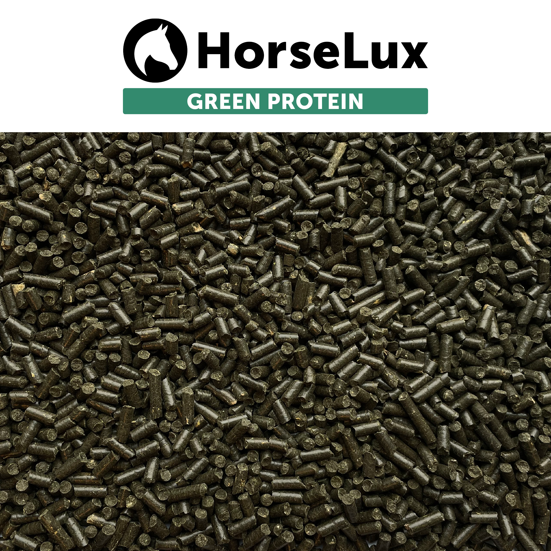 Green Protein 10 kg