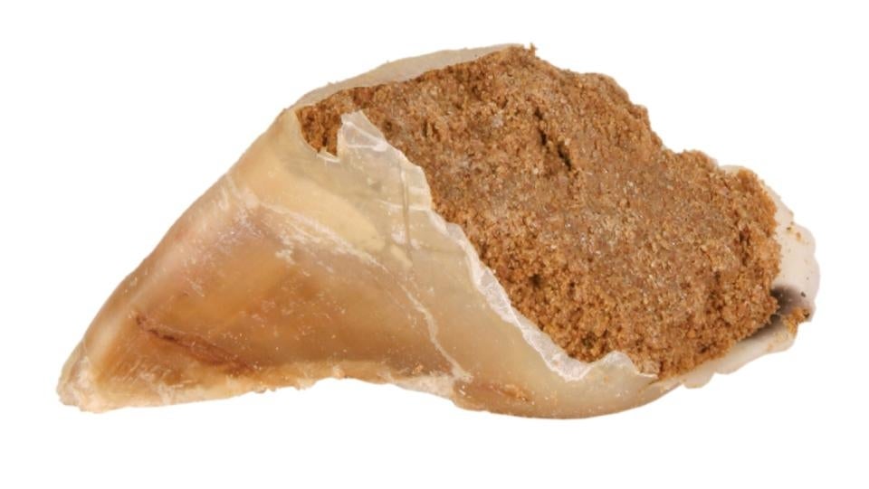 Okseklov med kødpostejfyld