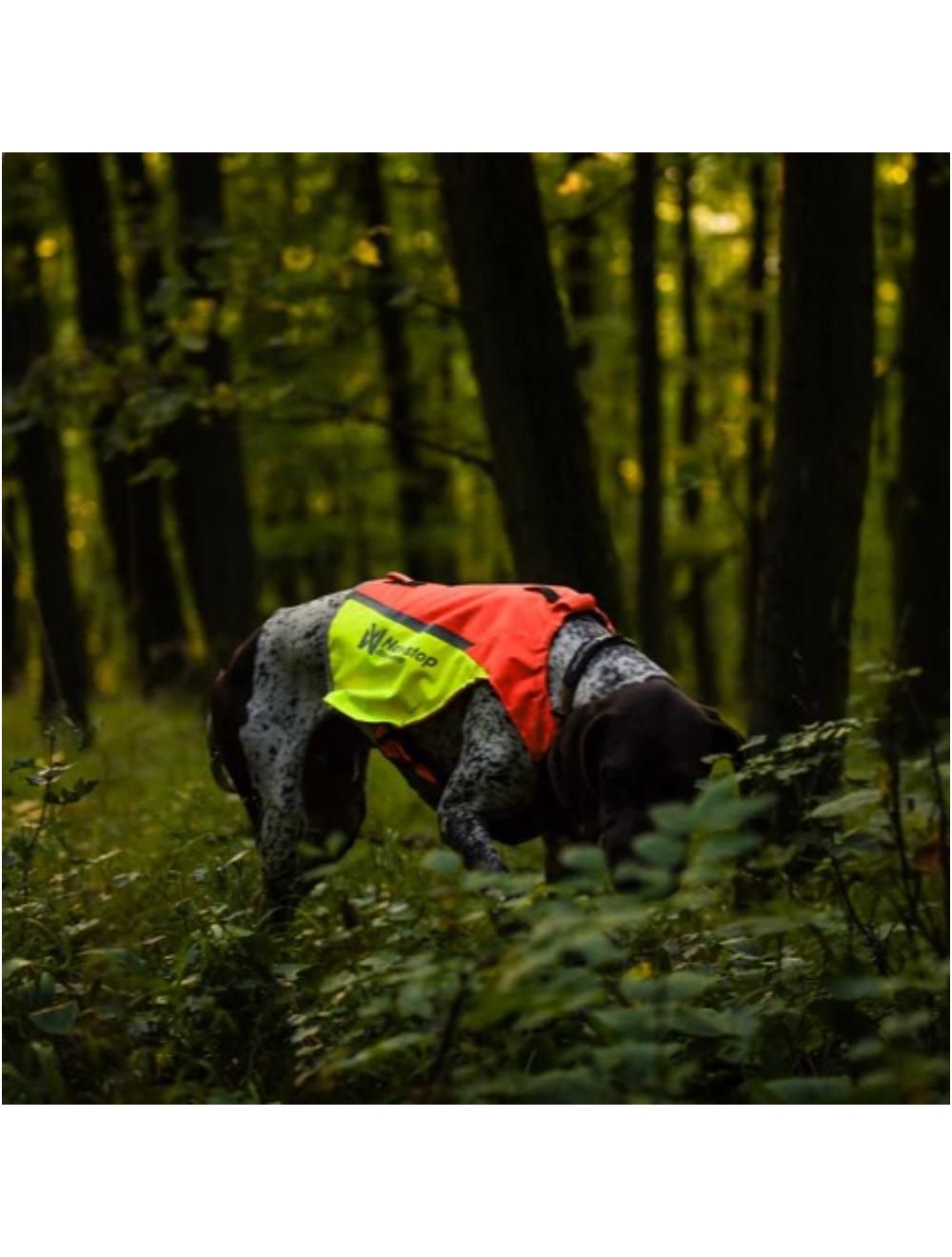 Protector vest 2.0 orange