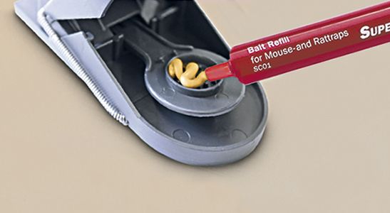 Lokkemiddel mus og rotter 2x3 gram