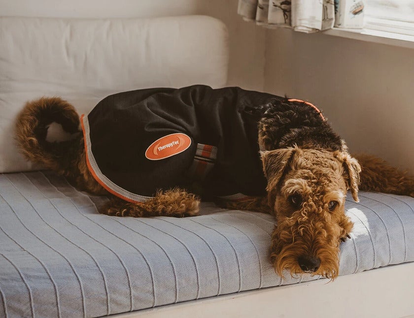 Therapy-Tec dog coat