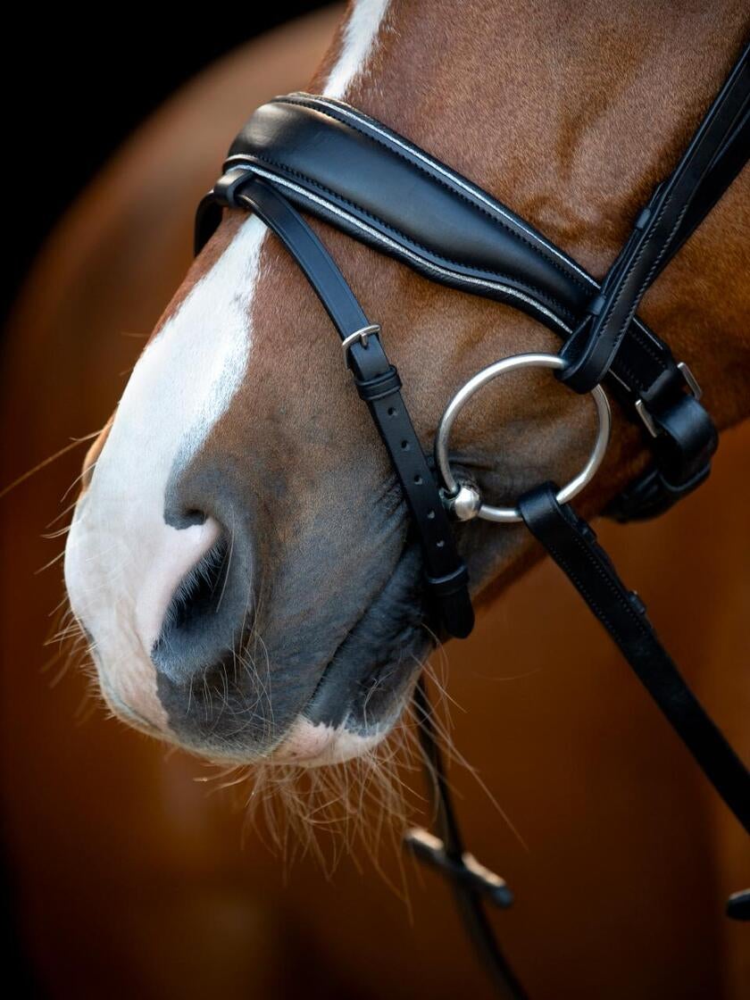 Cryll 25.1 trense komb. næsebånd m/tilbagetræk