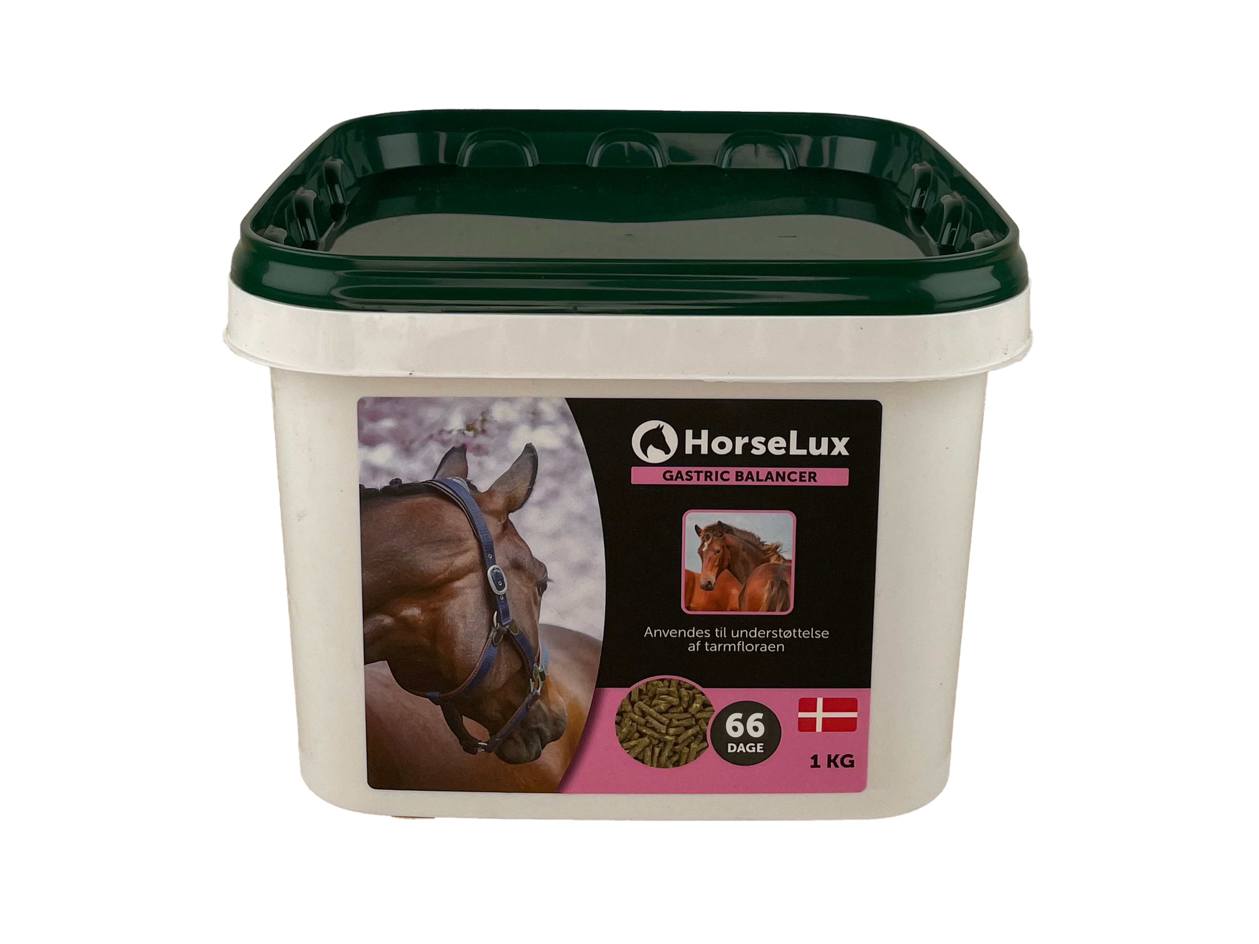 Gastric Balancer 1 kg