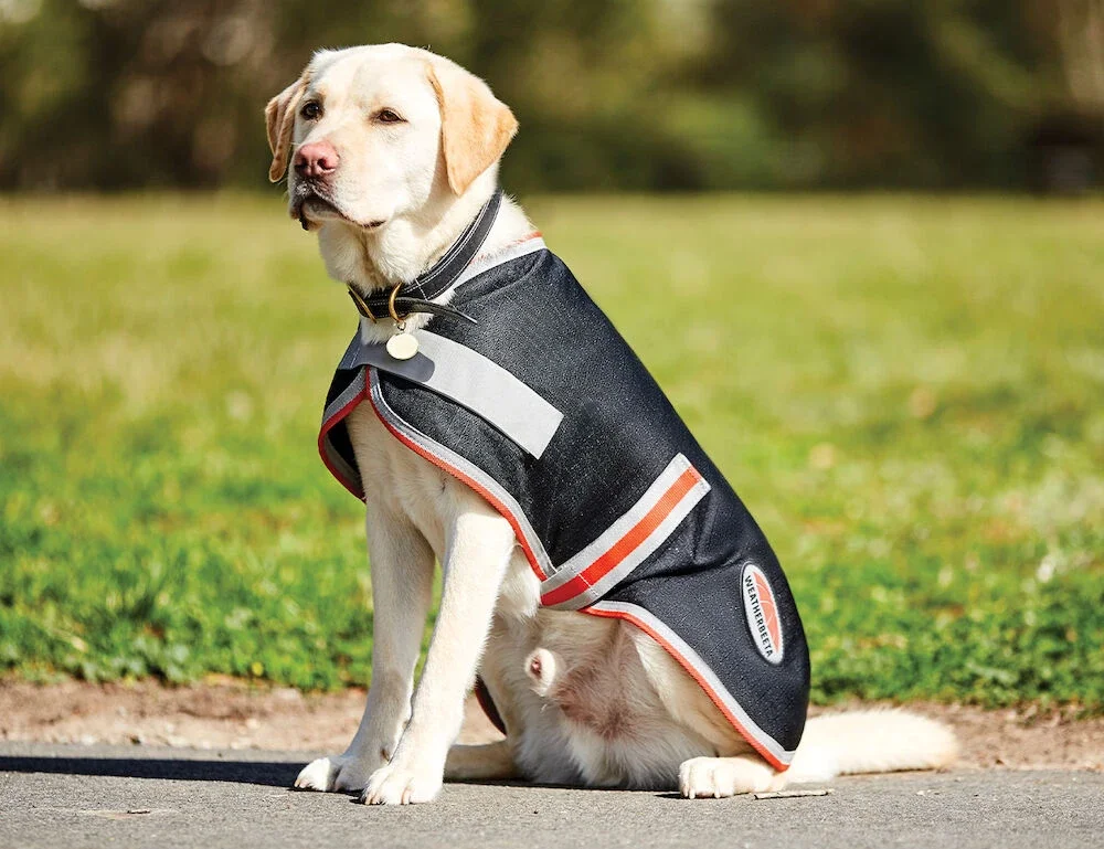 Therapy-Tec dog coat