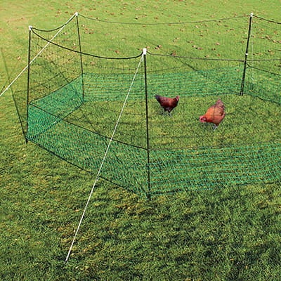 Indhegning til høns net