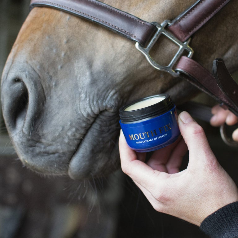 Horsecare Mouth Fix 50 ml