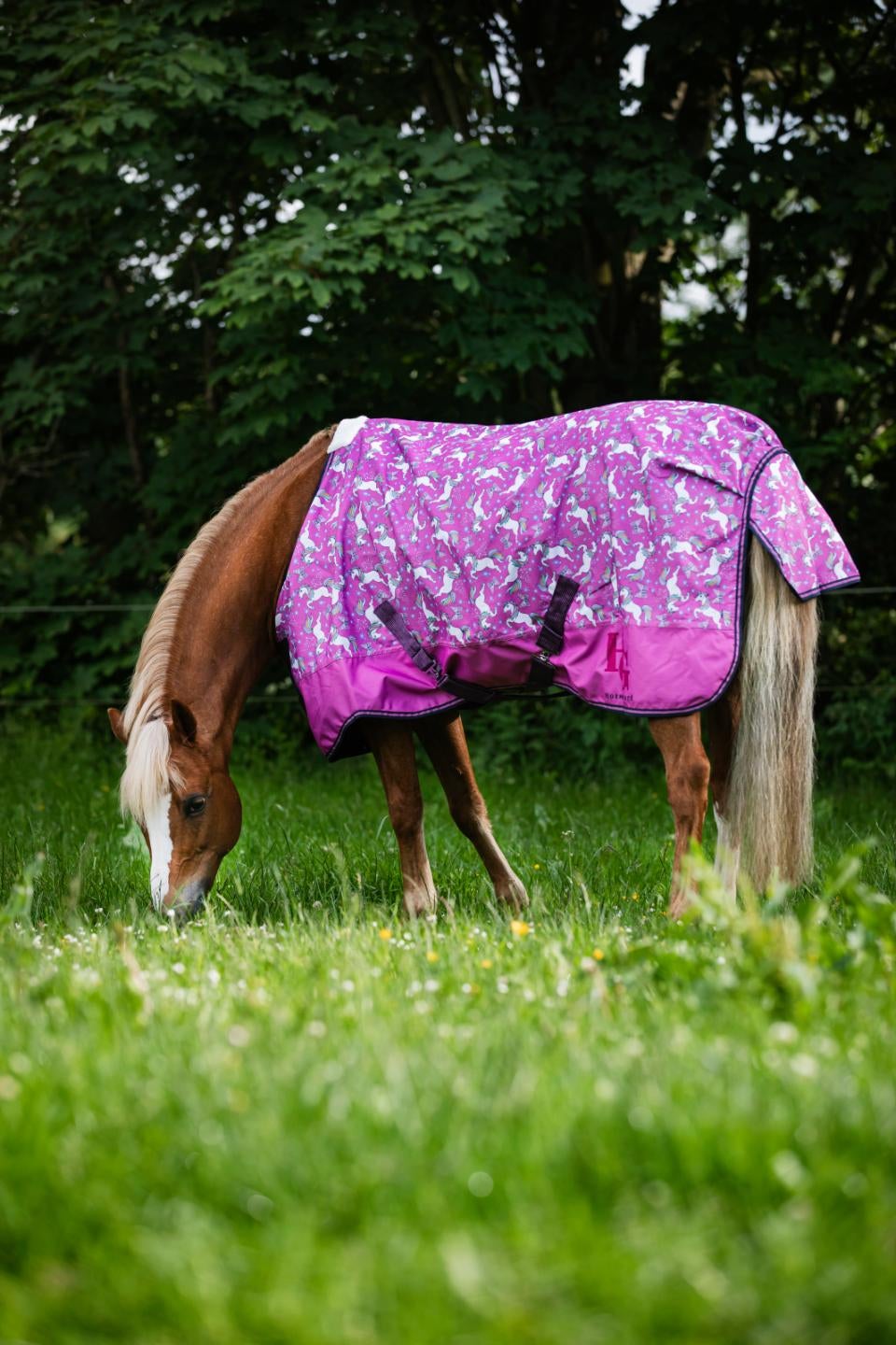 Josh Turnout dækken 600D 0g