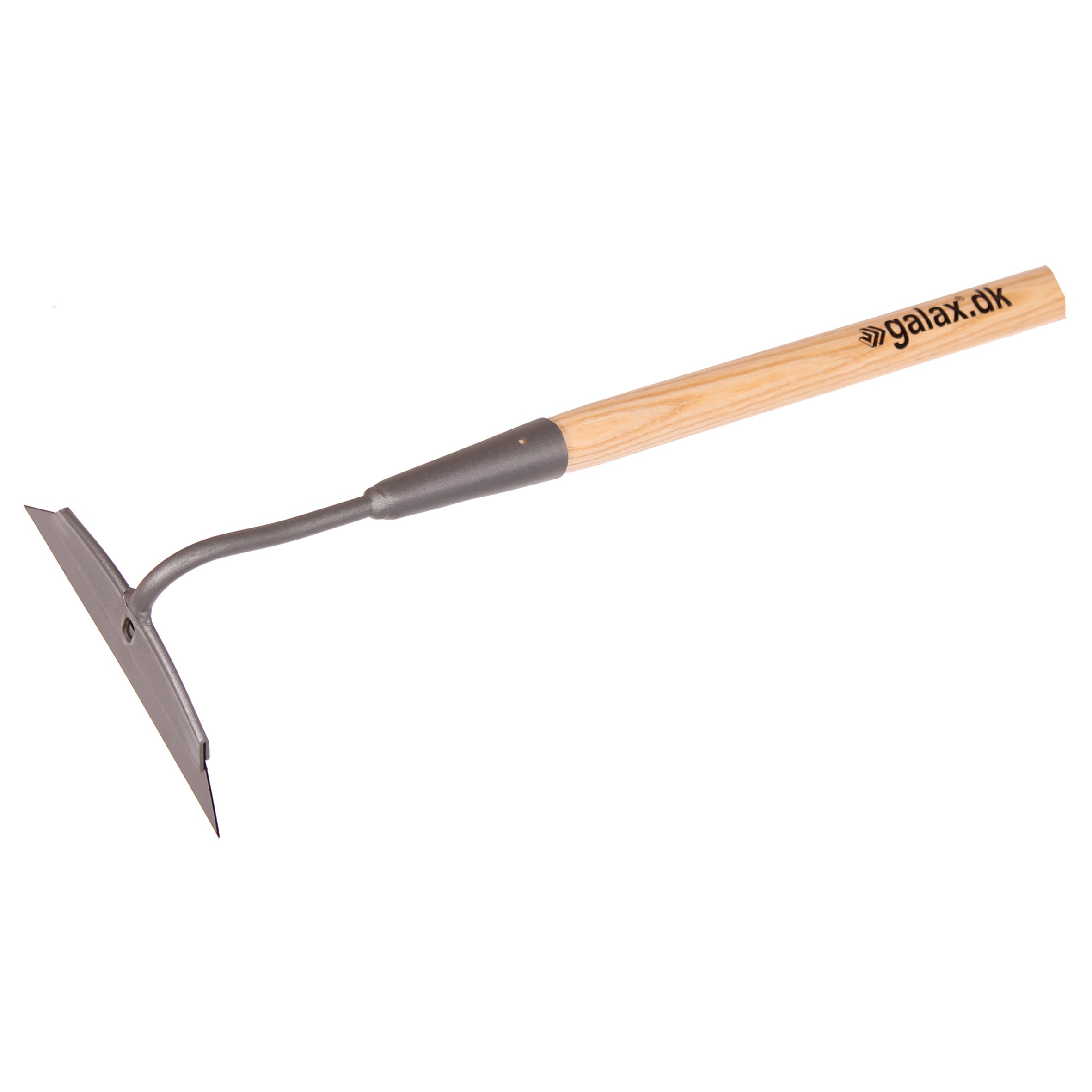 Galax Roe/Havehakke 