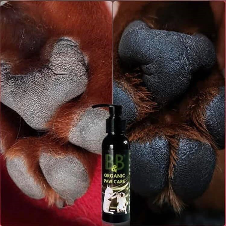 Økologisk Potepleje 100 ml