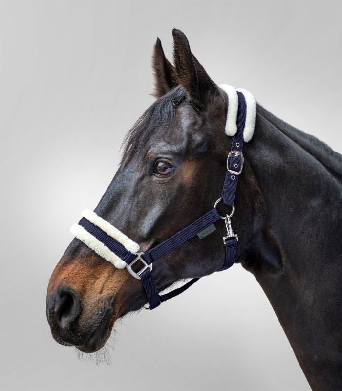 First grime m. imi pels