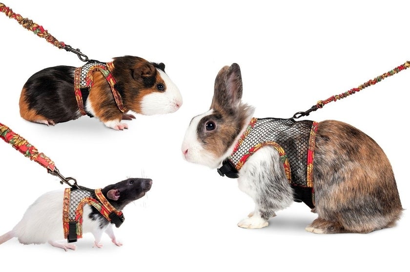 Gnaversele fleksibel S