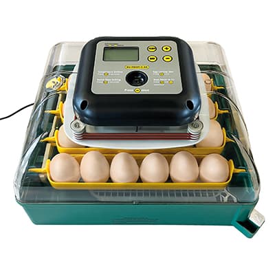 Rugemaskine auto-vend 24 æg