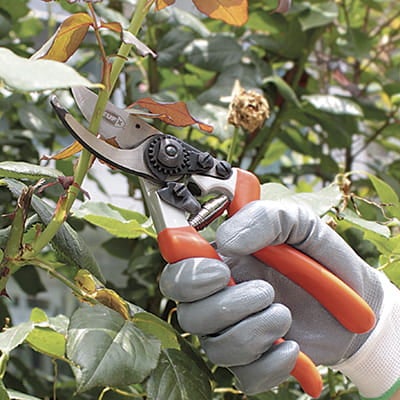 Beskæresaks Ergo 217 mm