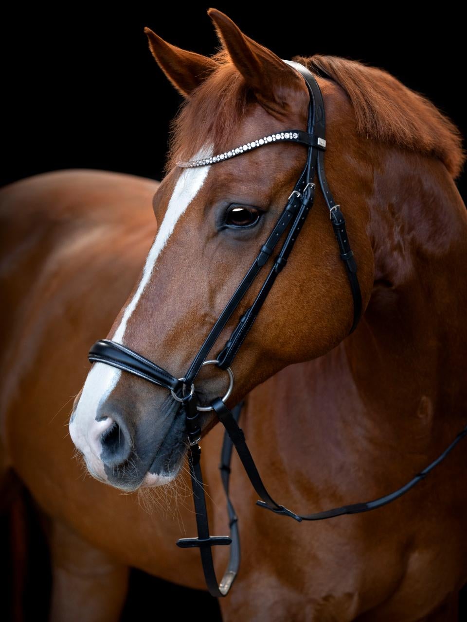 Cryll 25.1 trense m/hannoveransk næsebånd str. full