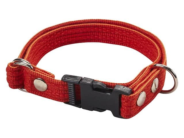 Web halsbånd snap orange