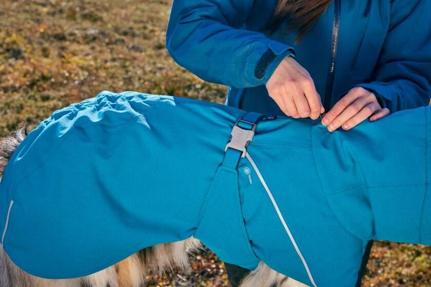 Expedition Parka II hundedækken