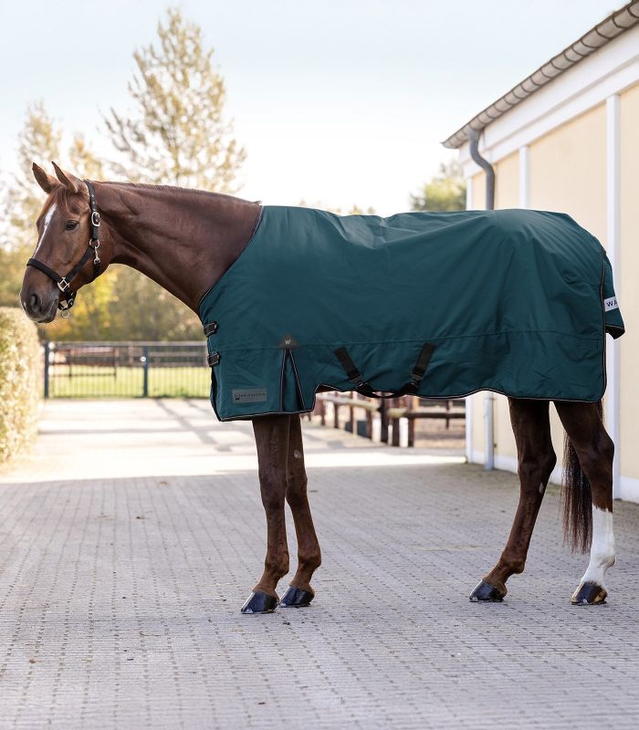 Artic overgangsdækken 100 gram