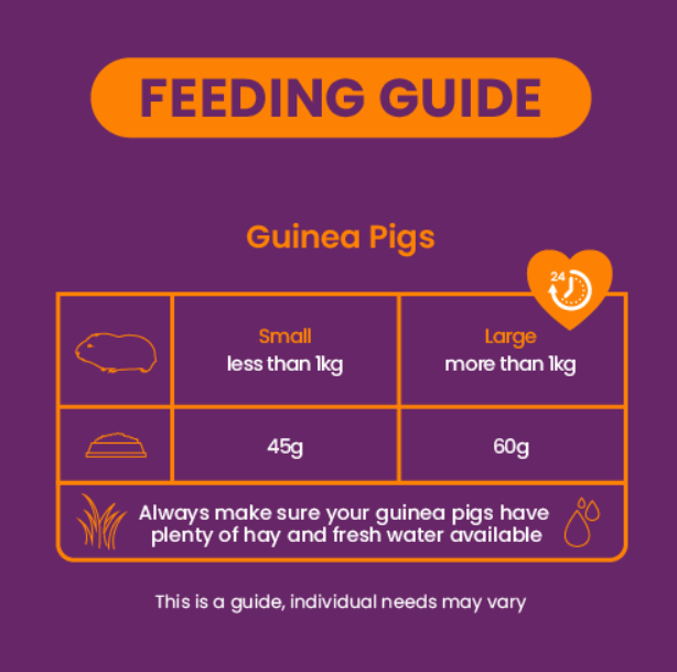 Burgess Excel Guinea Pig Blackcurrant & Oregano 1,5 kg