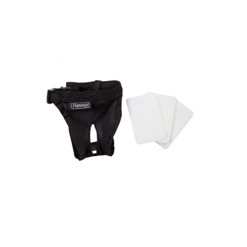 Løbetidsbuks til hund