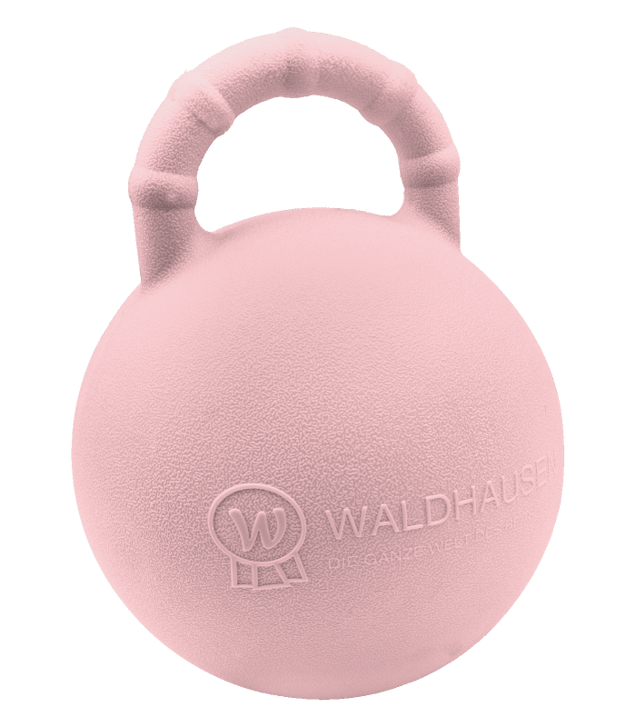 Fun Ball 