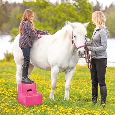 Opstigningstrappe 2 trin