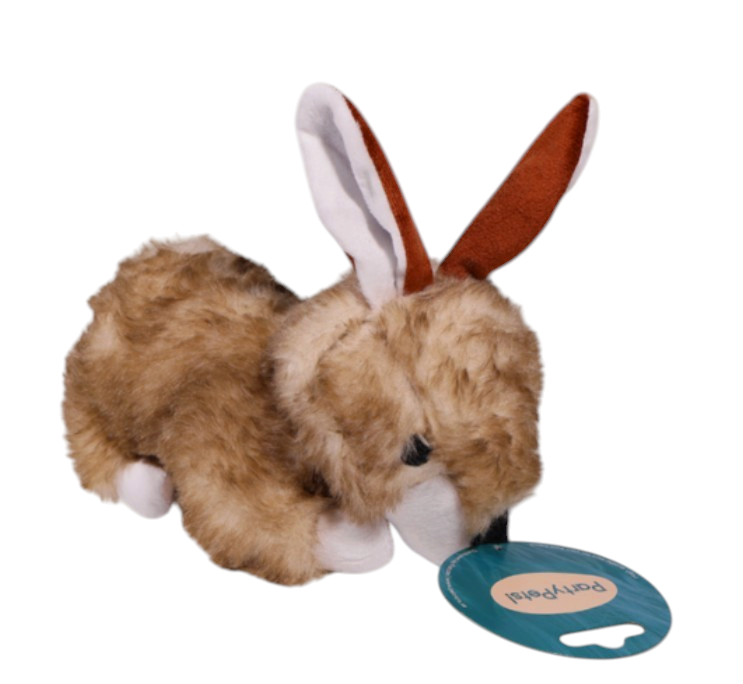 Rabbit 