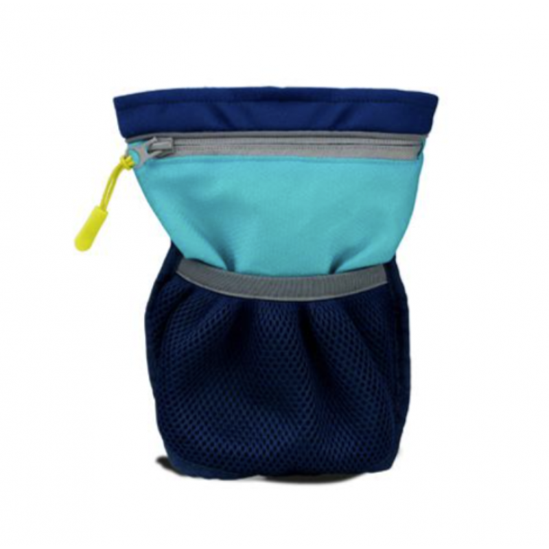 Pro Train & Treat godbidstaske