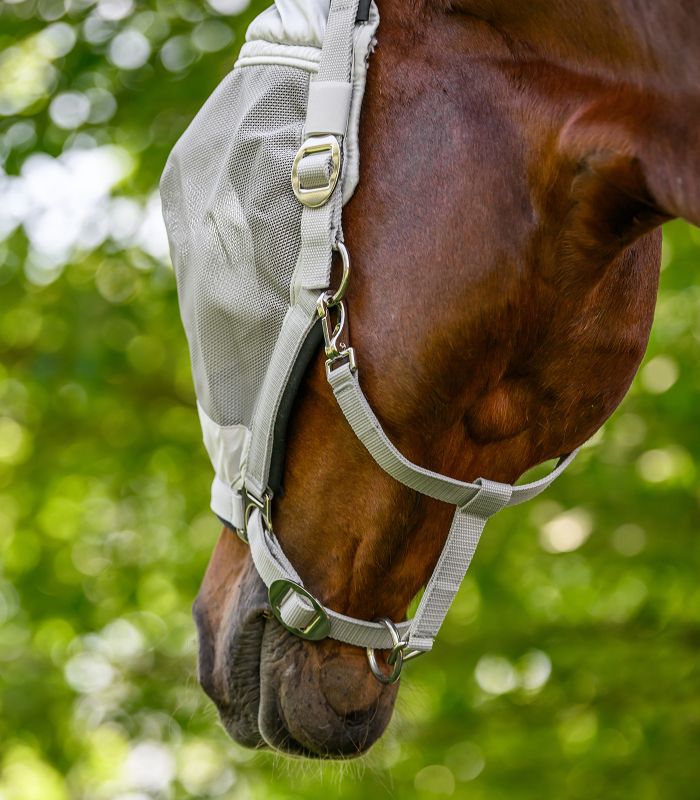 Fluemaske premium med grime