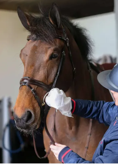 Belvoir Læderrens servietter