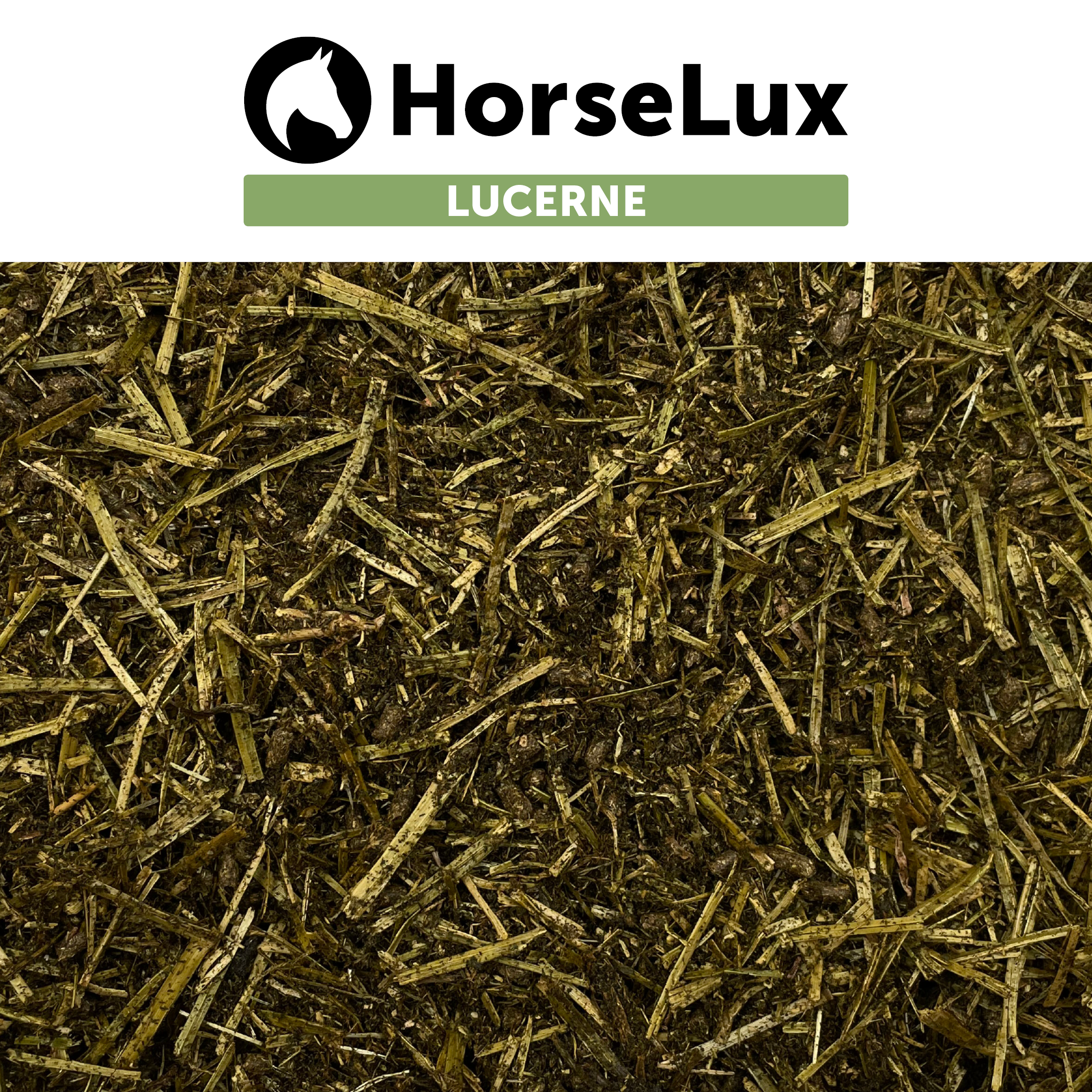 Lucerne 10 kg