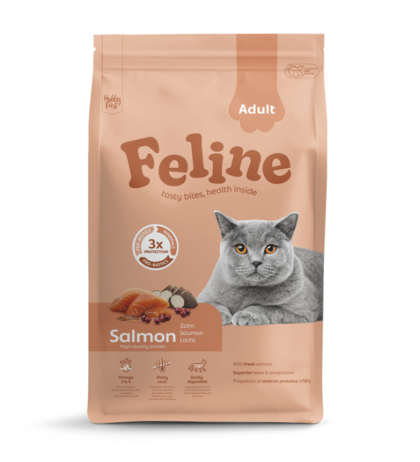 Feline Adult Salmon