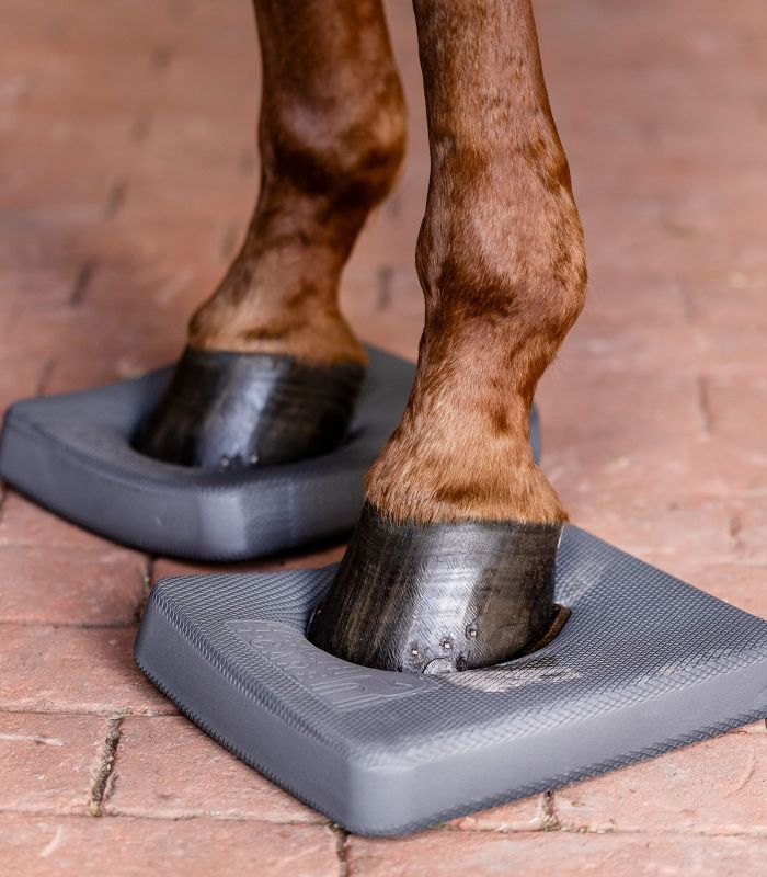 Health + Care balance pads 