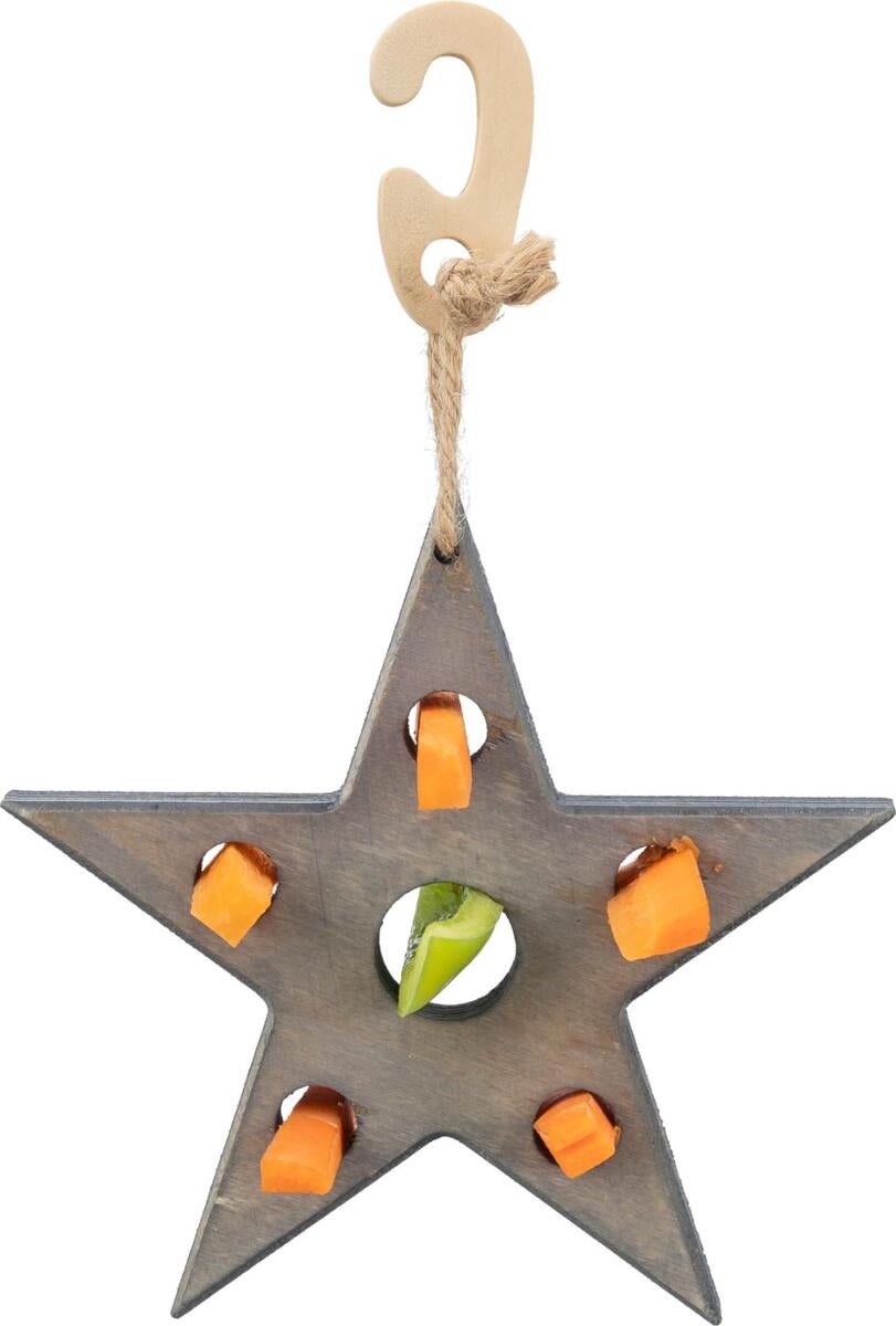 Xmas lege og snackstjerne til gnaver