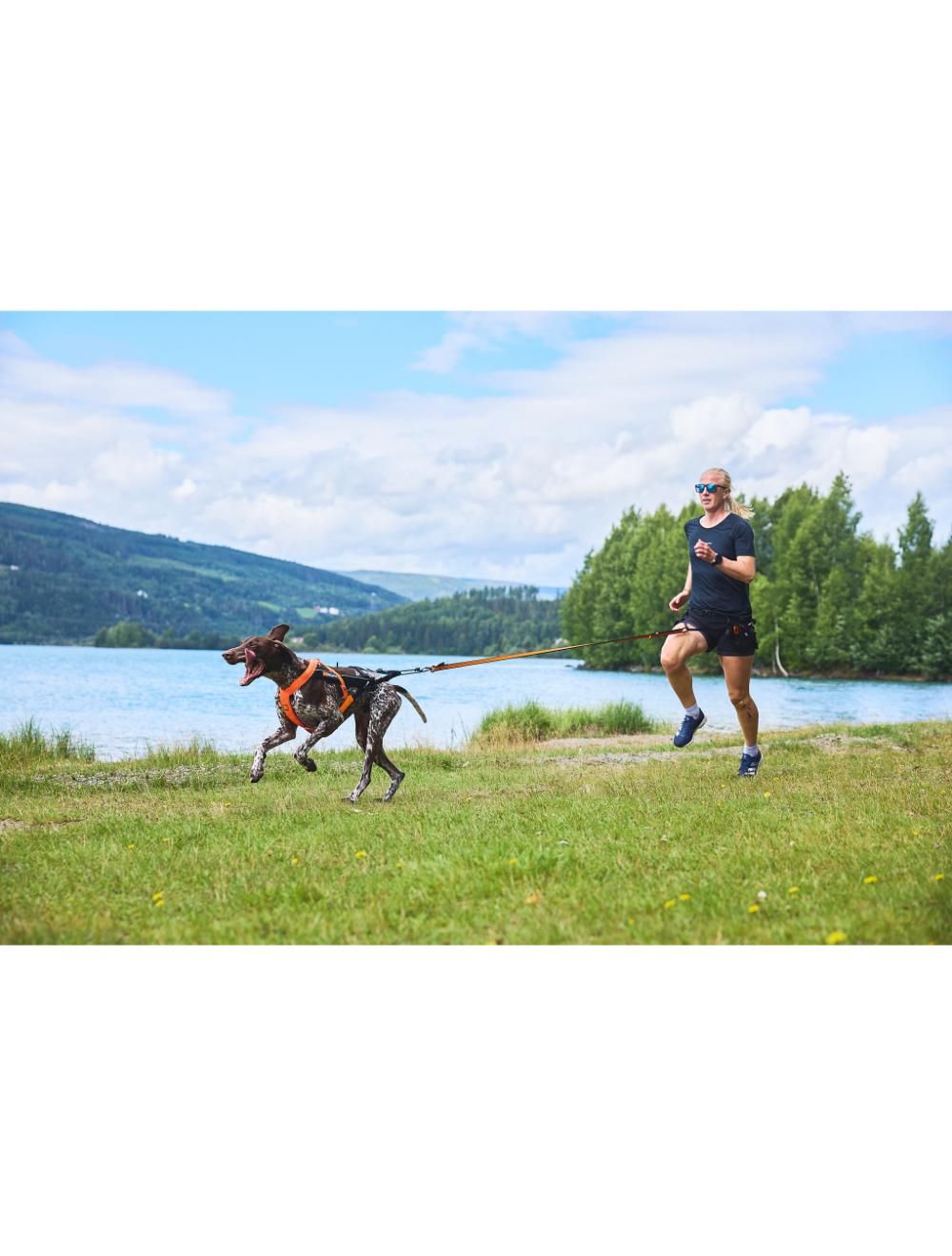 Løbebælte Canix 2.2