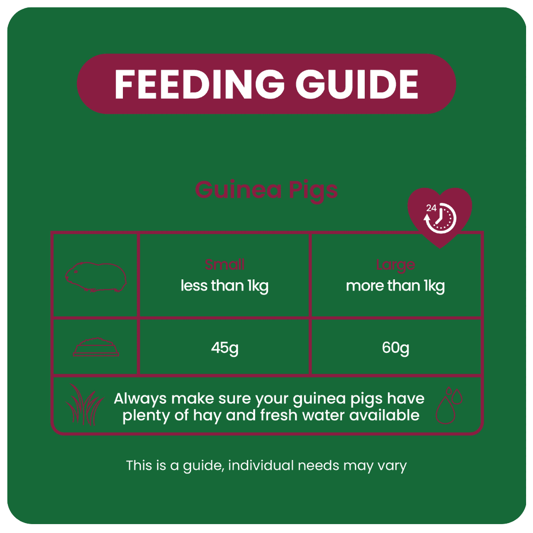Excel Indoor Guinea Pig 1,5 kg