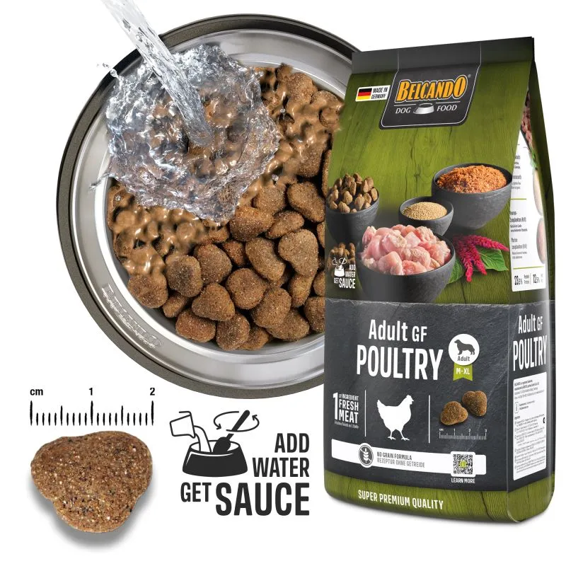 Adult kylling grain free