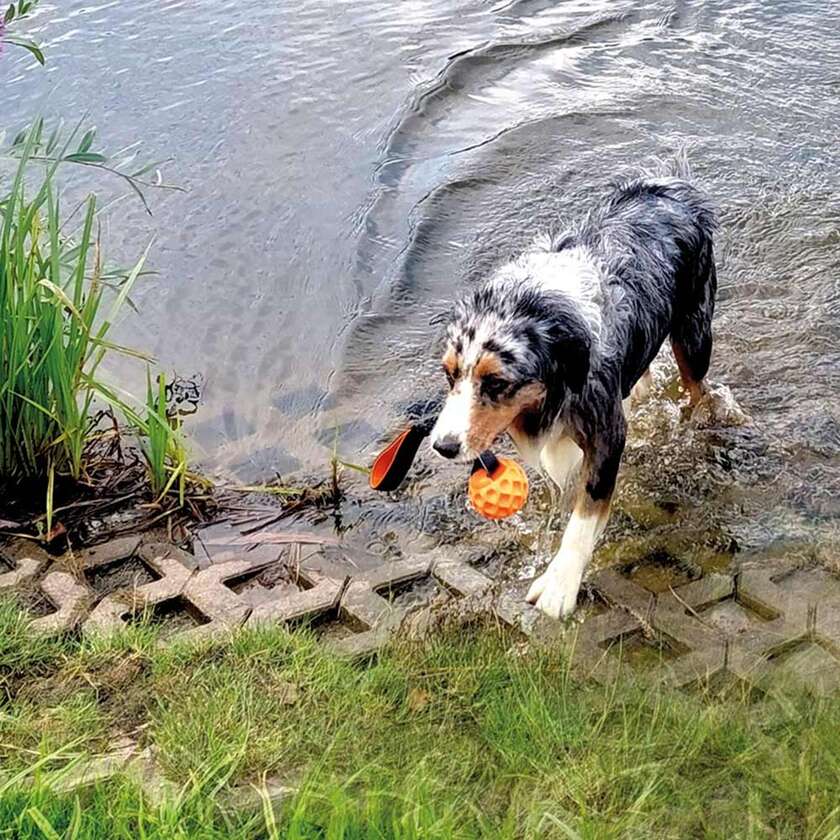 Floating Wafer bold med elastik