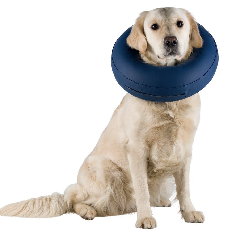 Halskrave til hund