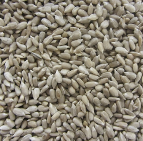 Afskallede Solsikke 15 kg