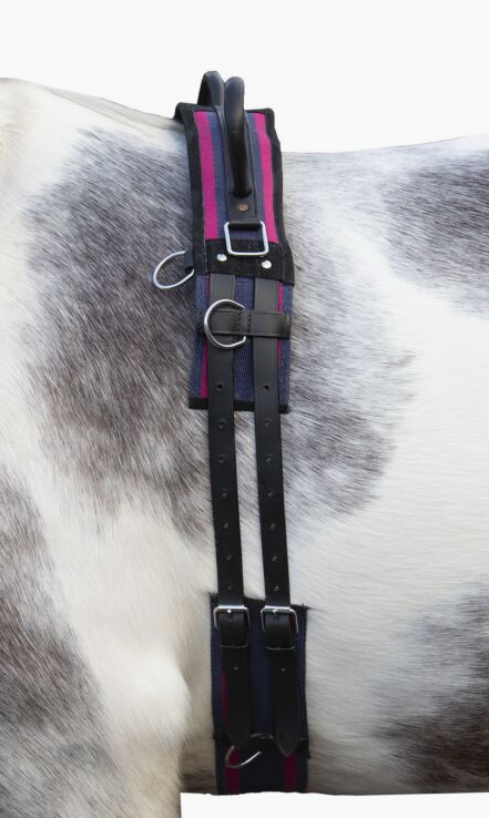 Longegjord Canvas med dobbelt håndtag