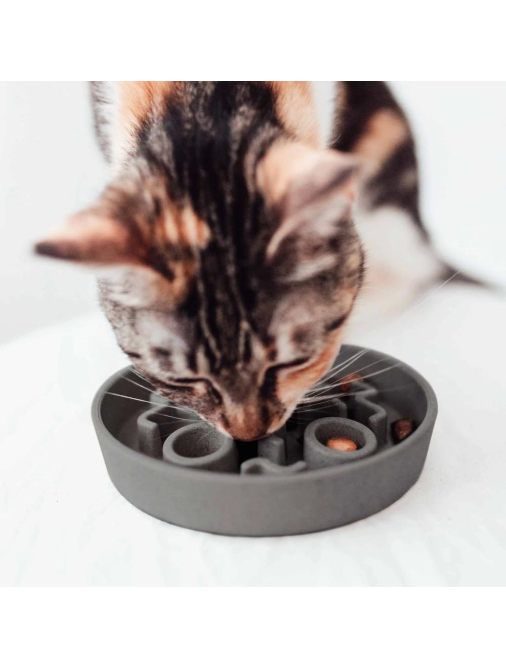 Bamboo slow feeder kat