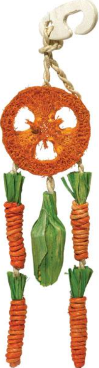 Carrot Dream Catcher