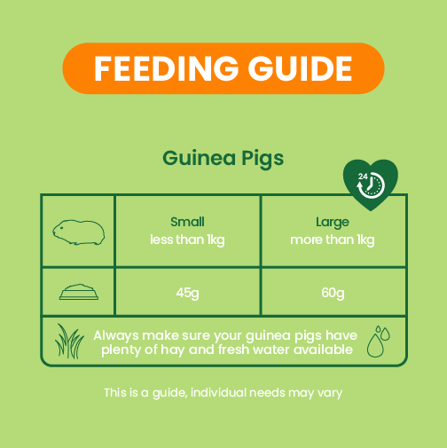 Excel marsvin med mint nuggets 3 kg